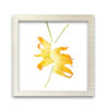 Food-Art 01 - Image 2