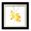Food-Art 01 - Image 3