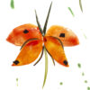 Food-Art 02