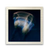Danza 04 - Image 2