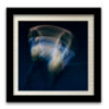Danza 04 - Image 3