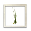 Food-Art 04 - Image 2