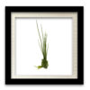 Food-Art 04 - Image 3