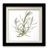 Food-Art 05 - Image 3