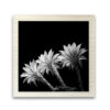 In Natura 04 - Image 2
