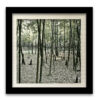 In Natura 05 - Image 3