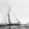 Vela 03